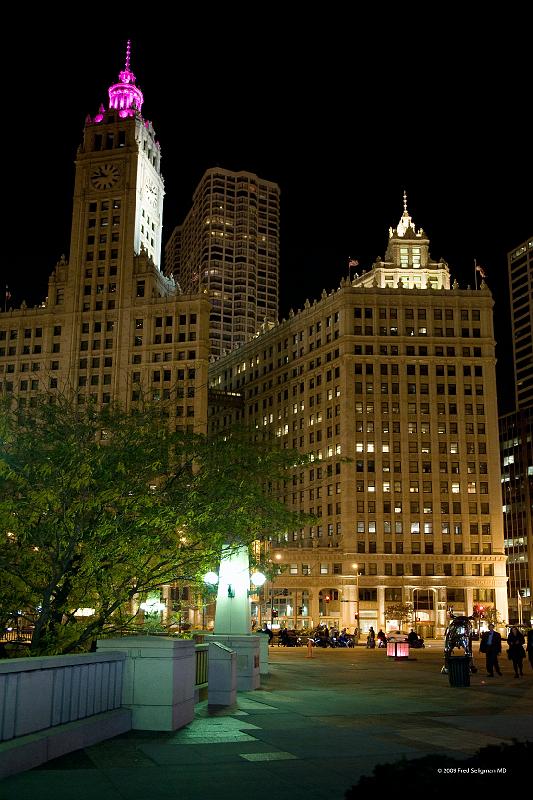 20081030_224510 D3 2x3 P1 srgb.jpg - Wrigley Building at left